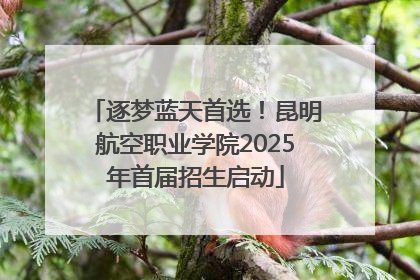 逐梦蓝天首选！昆明航空职业学院2025年首届招生启动